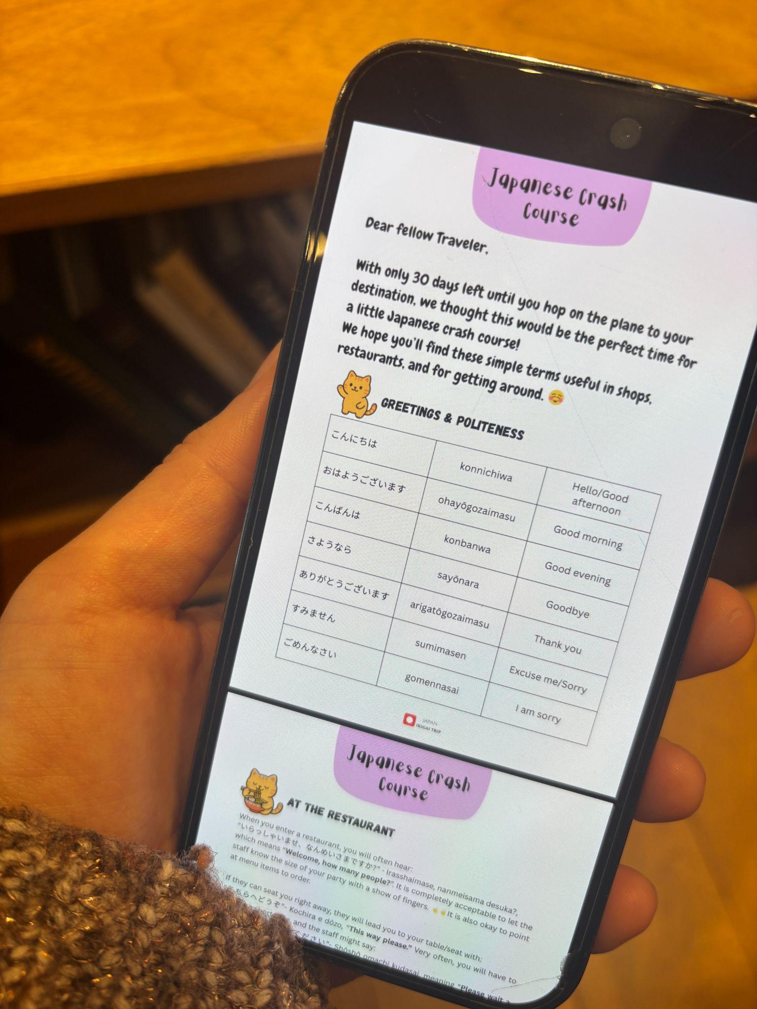 Japanese Crash Course on phone